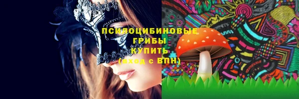 хмурый Бронницы