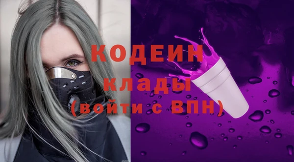 амф Верея