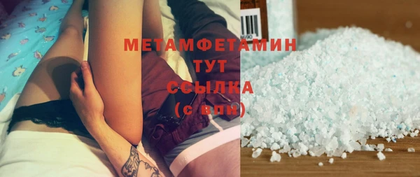 индика Бородино