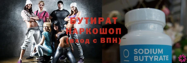 индика Бородино