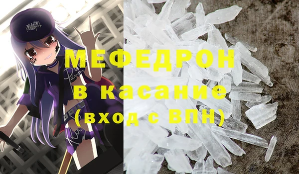 индика Бородино