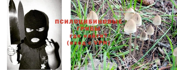 хмурый Бронницы