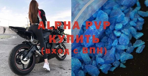 индика Бородино