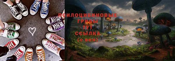 индика Бородино