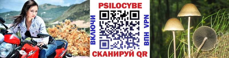 Псилоцибиновые грибы Psilocybine cubensis Новосибирск