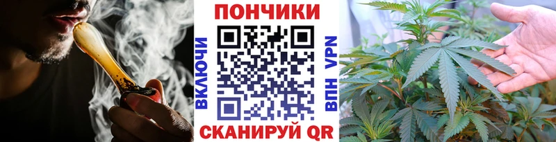 Бошки марихуана THC 21%  Новосибирск 